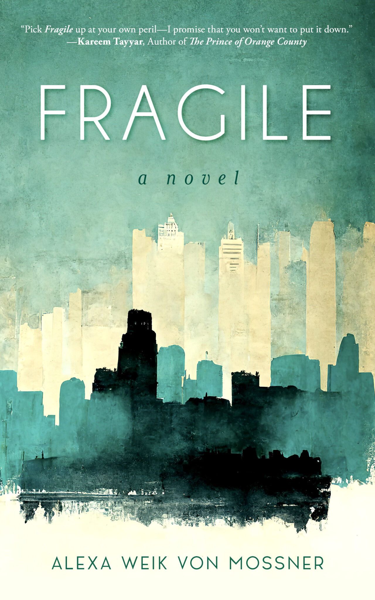 Fragile, a Novel